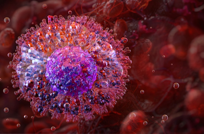 a mast cell degranulates